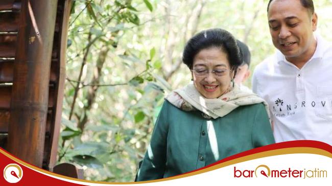 Resmikan Kebun Raya Mangrove Surabaya, Megawati: Ini Inisiasi Saya dan ...