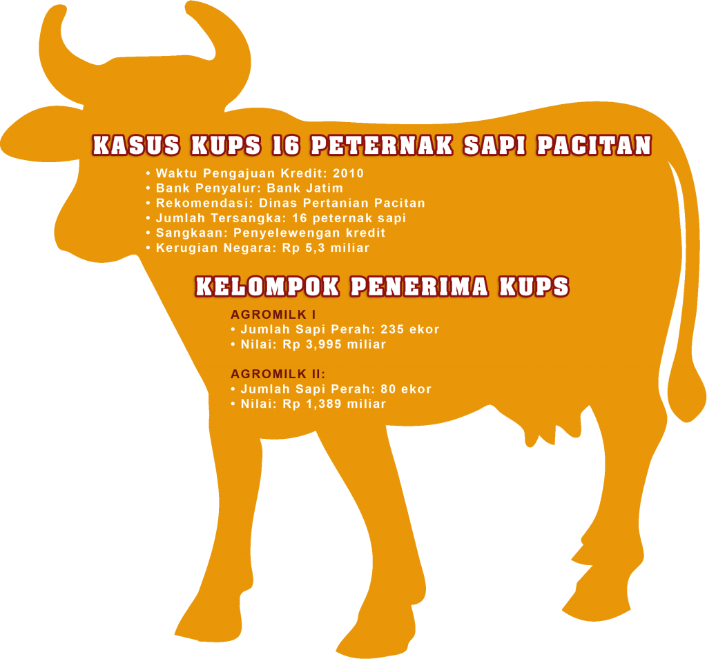 KASUS KUPS 16 PETERNAK SAPI PACITAN
