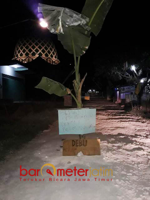 DITANAMI PISANG: Warga di lingkungan Gilang, Kelurahan Babat, Lamongan, menanami pohon pisang di jalan berdebu berat. | Foto: Barometerjatim.com/HAMIM ANWAR