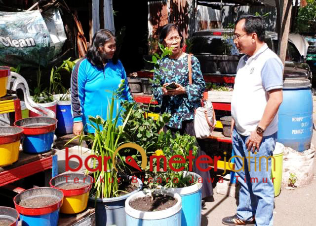 Taru Sasmita (kanan), tekad kawal urban farming di Surabaya. | Foto: Barometerjatim.com/wira harlijadi