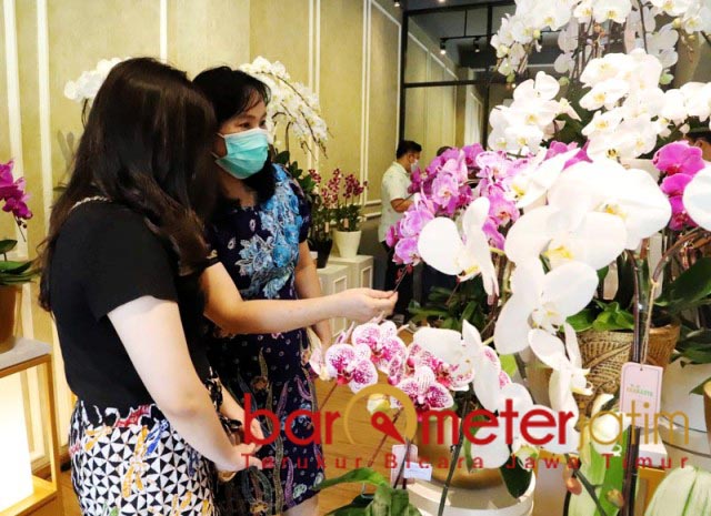 KEINDAHAN ANGGREK: Pengunjung melihat anggrek premium saat pembukaan outlet Von Florist. | Foto: Barometerjatim.com/ROY HS