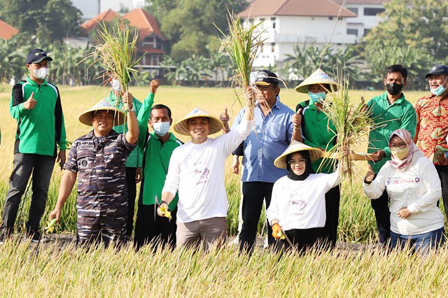 UNTUK WARGA SURABAYA: Memanfaatkan aset Pemkot untuk kegiatan urban farming untuk program pemberdayaan MBR. | Foto: IST