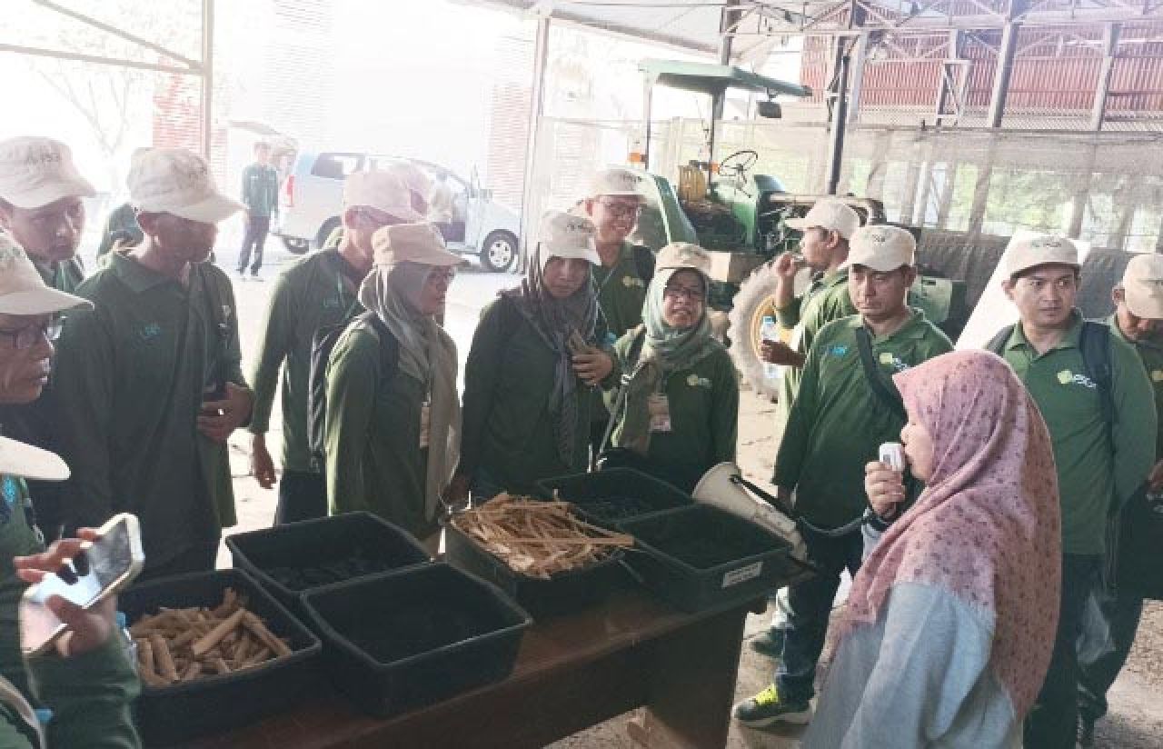 TINGKATKAN KEMAMPUAN: Perhatian peningkatan kemampuan petani tebu tidak bisa diabaikan. | Foto: IST