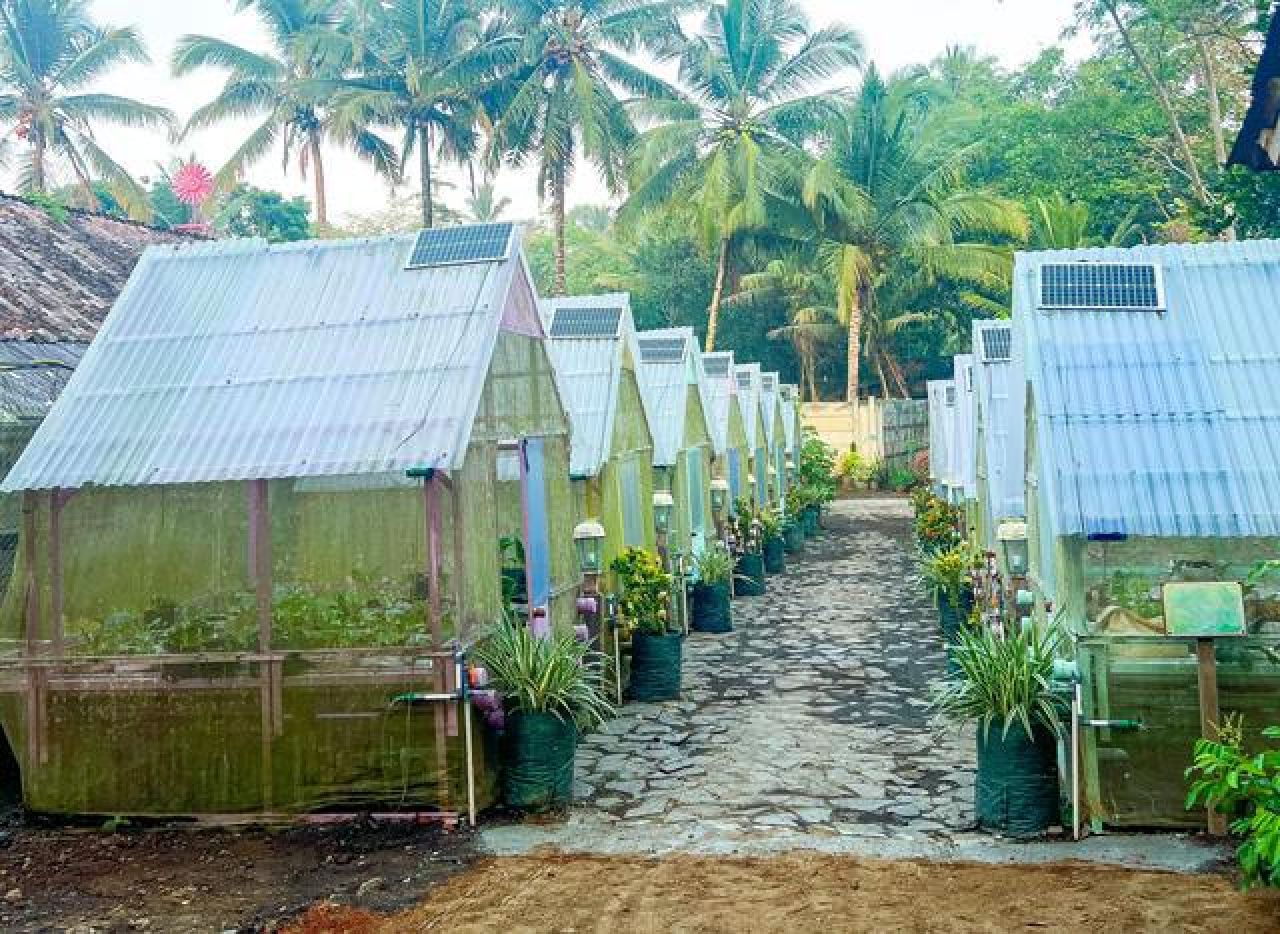 BERSAMA ALAM: Sky Farm, ajak pengunjung rasakan sekaligus belajar hidup selaras dengan alam. | Foto: Humas BWI