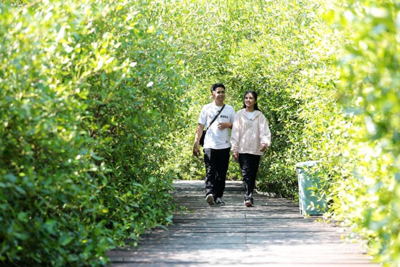 EKSOTIKA ALAM: Nikmati Kebun Raya Mangrove, cocok untuk nikmati keindahan alam. | Foto: Humas