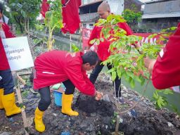 Cerminkan Politik Hijau, PDIP Surabaya Tanam Pohon dan Bersih-bersih Aliran Sungai