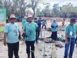 Tanam Ratusan Mangrove di Sumenep, Bupati Fauzi: Ya Jaga Ekosistem, Ya Bikin Wilayah Pesisir Makin Asri!