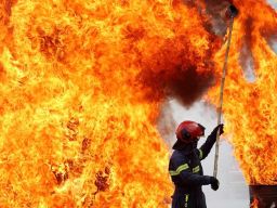 Eri Cahyadi Sebut DKPP Surabaya Tak Hanya Jadi Pemadam Kebakaran, Bahkan Ngurusi Cincin dan Kucing!