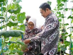 Pertahankan Predikat Lumbung Pangan Nasional, Lamongan Dukung Diversifikasi Pertanian