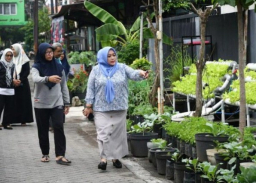 DPRD Surabaya Dorong Kelangsungan Urban Farming, Pemkot Diminta Hadir