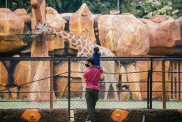 KBS Masih Primadona Wisata Keluarga, Libur Lebaran Dibanjiri 72,5 Ribu Wisatawan!