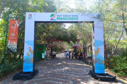 Baru Berusia 2 Tahun, Kebun Raya Mangrove Surabaya Berprestasi Level Dunia!