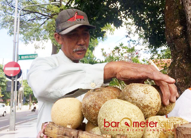 PENJUAL BUAH LANGKA: Muhammad Ali, penjual buah kinco. Buah yang sudah jarang ditemui hasil budidaya di kampung halamannya, Gresik. | Foto: Barometerjatim.com/WIRA HARLIJADI