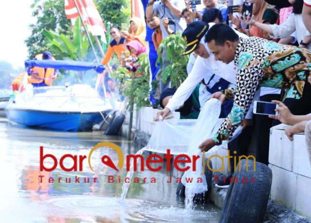 Khofifah menabur 50 ribu benih ikan wader di Sungai Bantas | Foto: Barometerjatim.com/abdillah hr