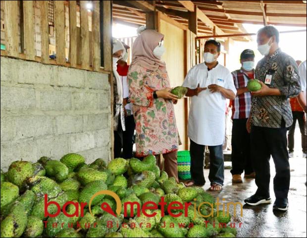 OMSET RP 150 RIBU: Istana Sirsak, modal awal Rp 150 ribu kini meraup omset Rp 50 juta per bulan. | Foto: Barometerjatim.com/IST