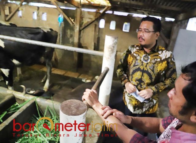 DERITA PETERNAK: Anwar Sadad dan wajah sedih Jakfar Sodiq, peternak yang sapi perahnya terpapar PMK. | Foto: Barometerjatim.com/ROY HS