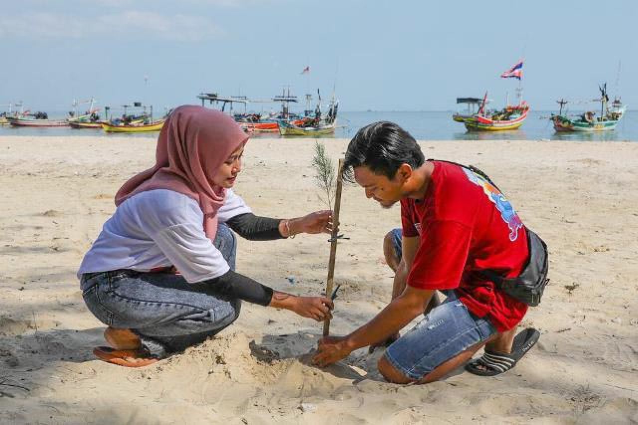 Jaga Kesadaran Ekologi, Orang Muda Ganjar Tanam Pohon Cemara Udang di Tuban